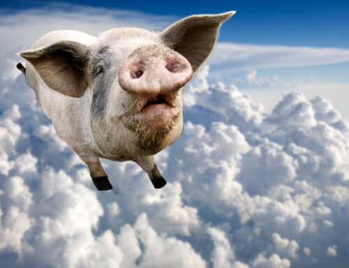 Olympians Are Not Flying Pigs!