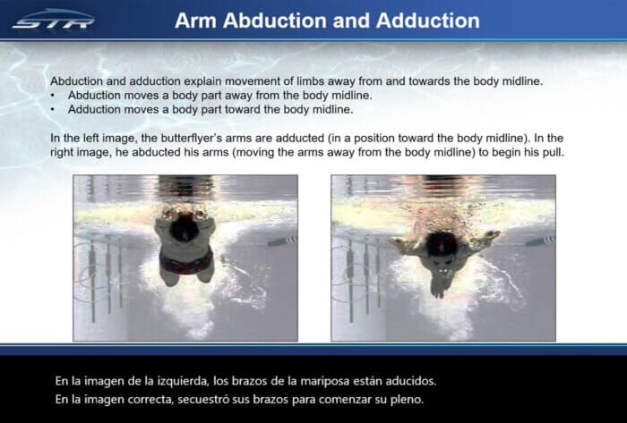 B100 - Biomechanical Foundations of Swimming: Terminology (Powerpoint Slide Show) - Image 6