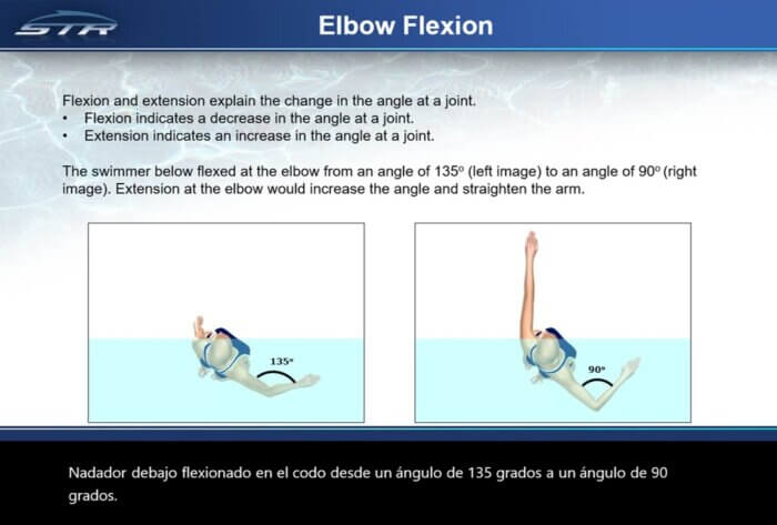 B100 - Biomechanical Foundations of Swimming: Terminology (Powerpoint Slide Show) - Image 4
