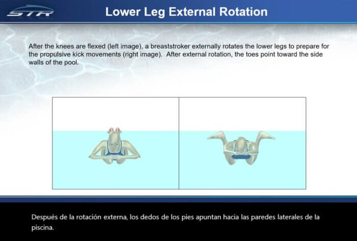 B100 - Biomechanical Foundations of Swimming: Terminology (Powerpoint Slide Show) - Image 3