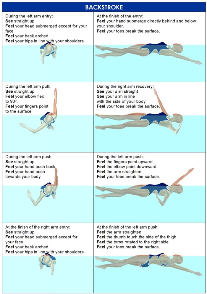 Approaching Perfect Swimming: MONA Cue Cards for All Four Strokes - Image 3