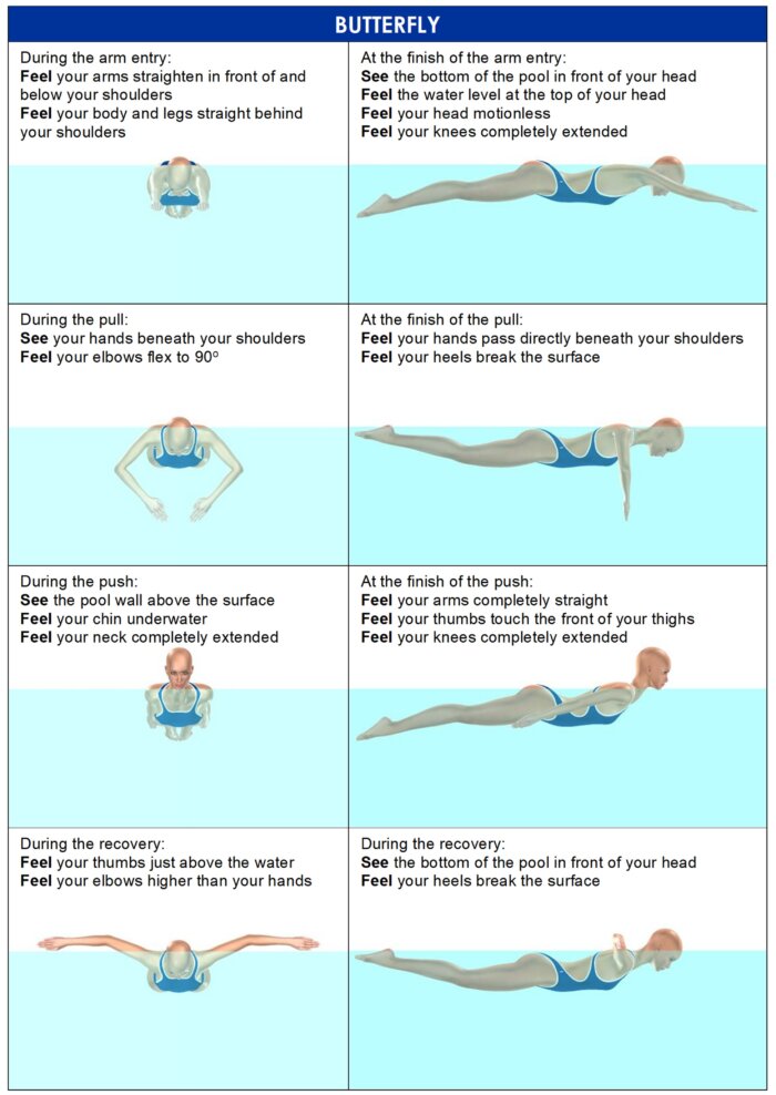 Approaching Perfect Swimming: MONA Cue Cards for All Four Strokes - Image 2