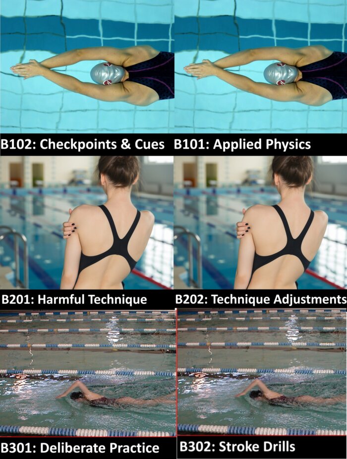 Approaching Perfect Swimming: Collection of 6 Biomechanics Courses (Powerpoints)